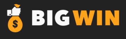 bigwin casino Logo